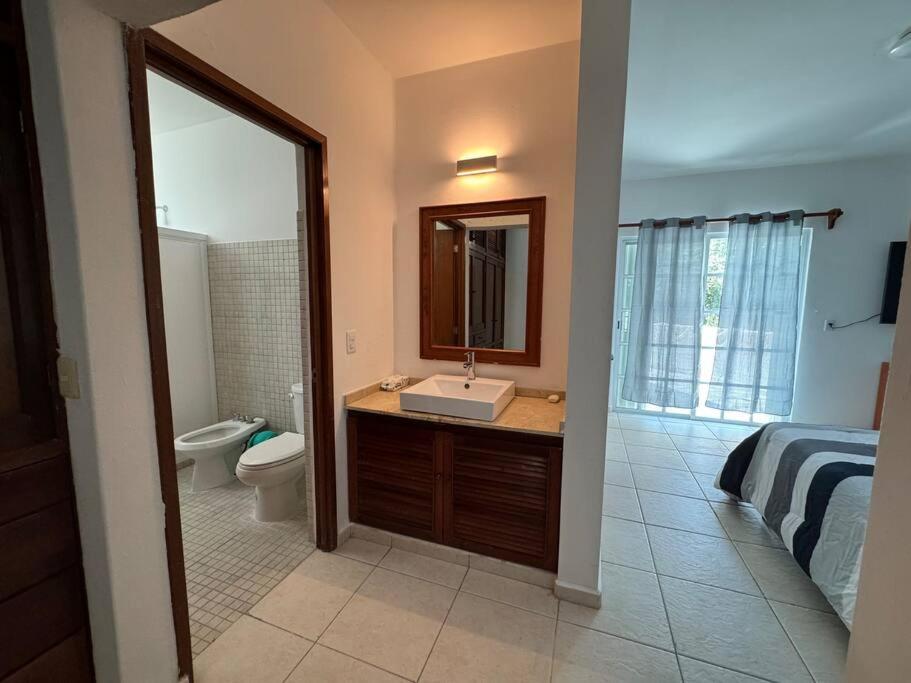 Suites Amplias en Quinta Avenida photo 3