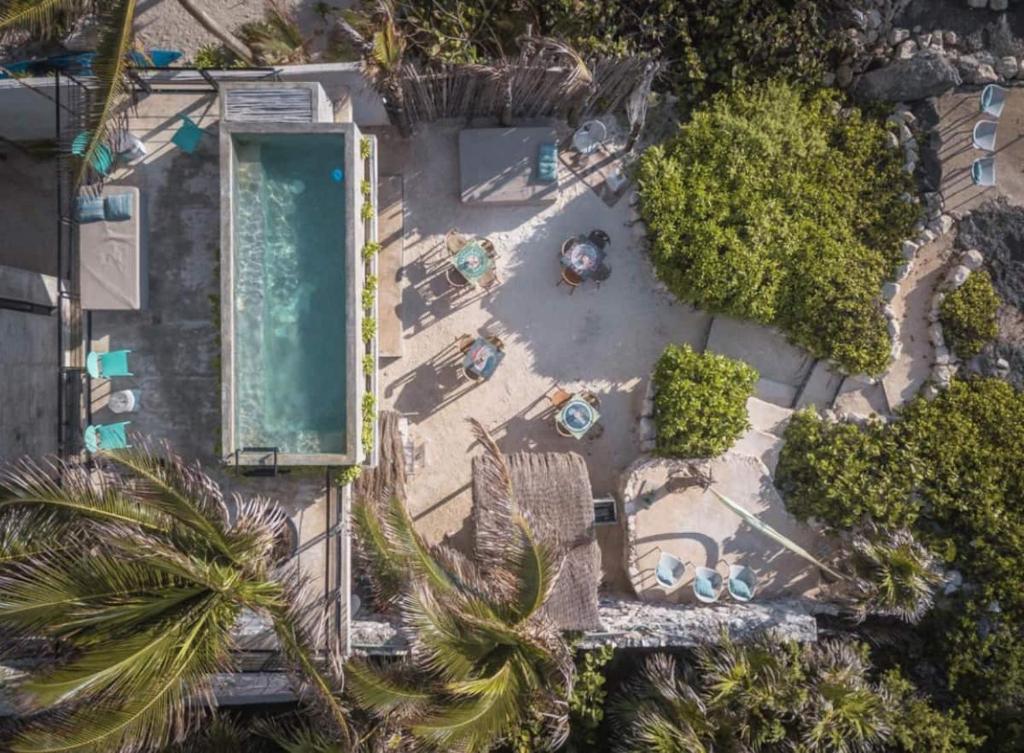 Rocky Villa in Tulum beach walking distance to papaya project! — photo 1