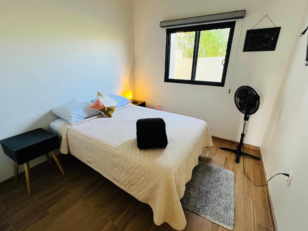 La Ventana Apartments #6 photo 2