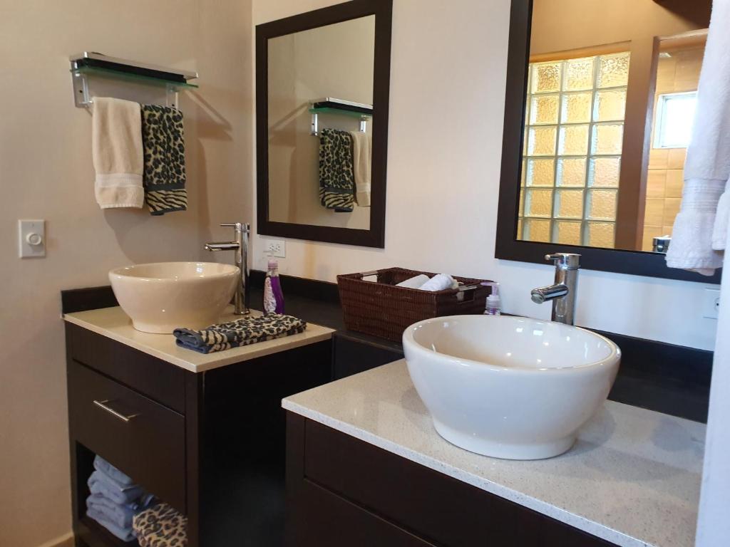The Apt @Hacienda Rancho Santini photo 3