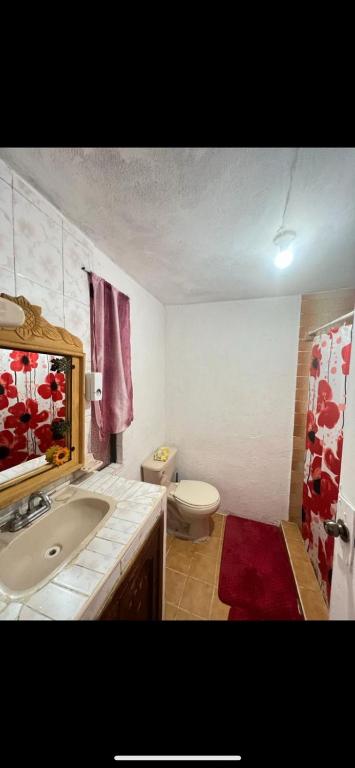 Home Sweet Home Guanajuato photo 3
