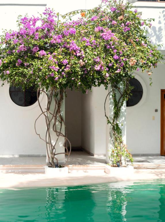 Sonido del mar Hotel Boutique & Yoga Loft photo 2