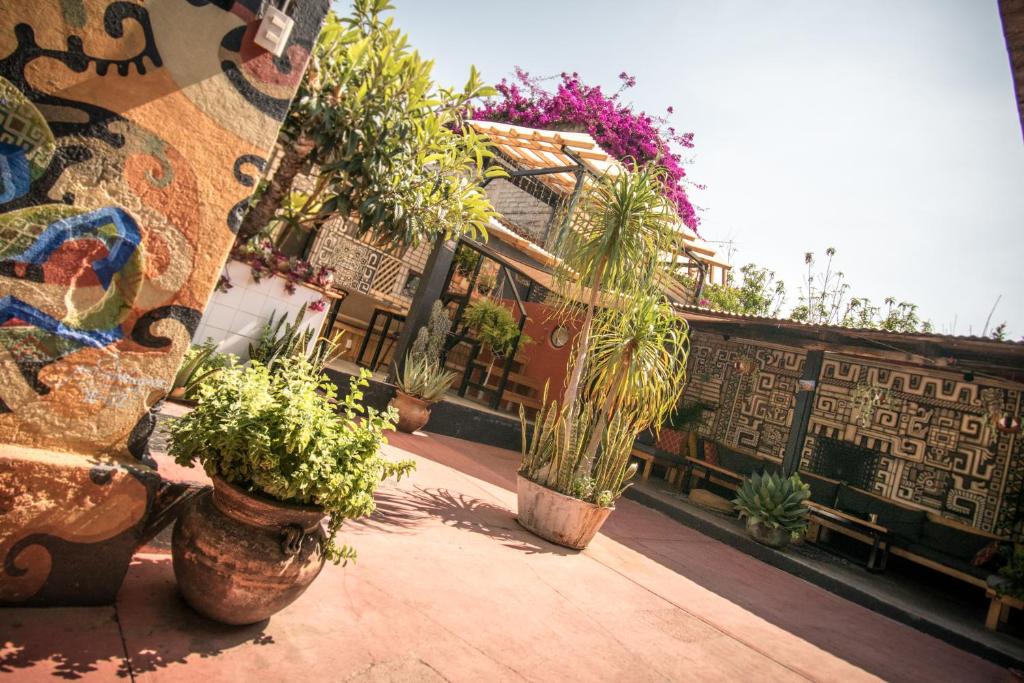 13 Cielos Hostel & Coworking photo 2