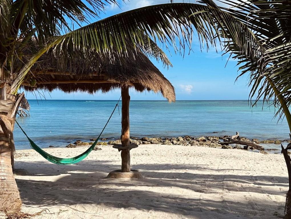 Tankah Sunrise Sanctuary - Reef & Oceanfront photo 3