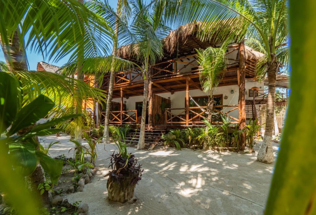 Zomay Beachfront Holbox photo 3