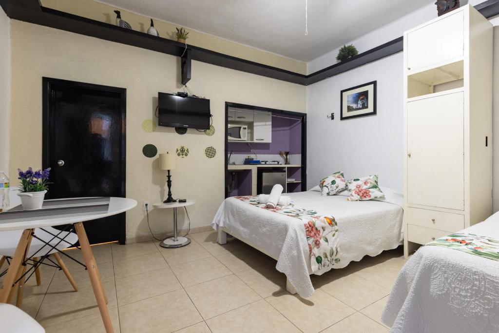 Satya Suites & Portal San Angel Flats photo 3