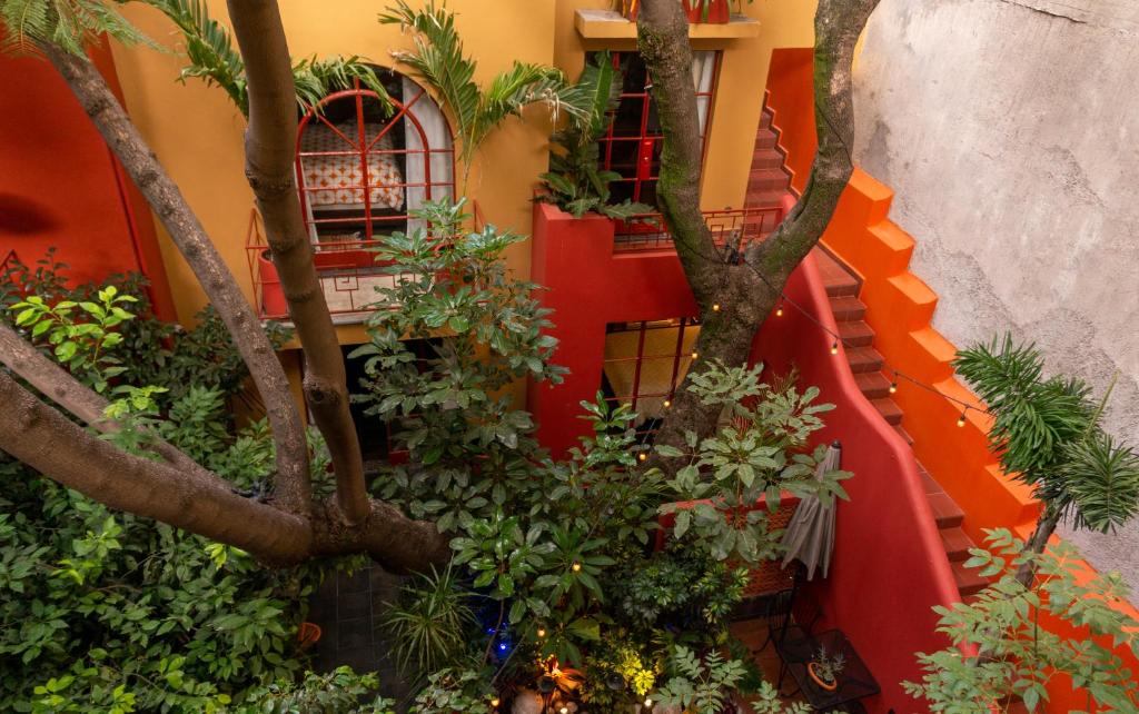 The Red Tree House — photo 1