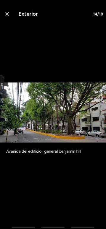 Condesa Dreams photo 3