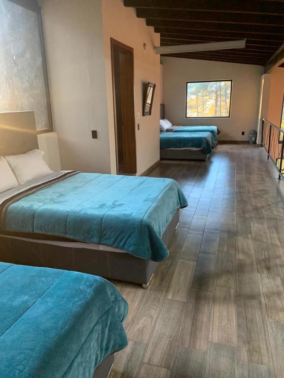 The best stay in the middle of the forest — photo 1