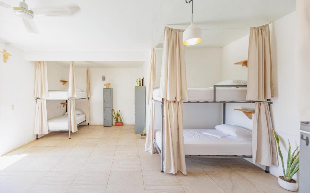 SurfNest Tamarindos photo 2