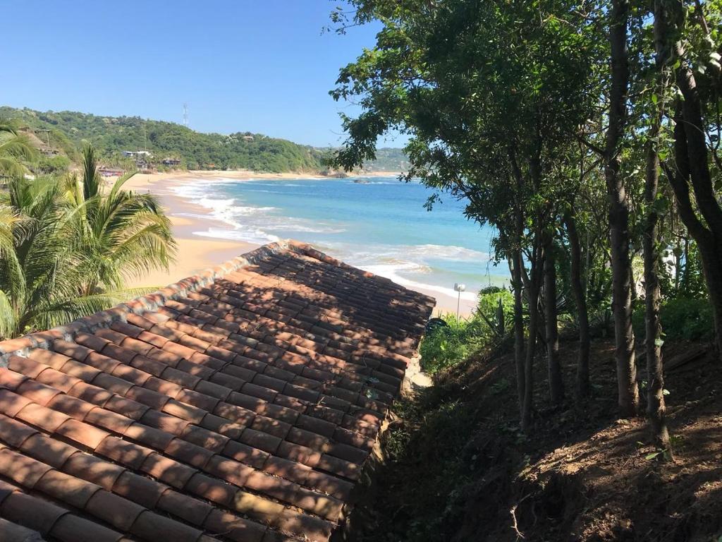 La pajarera — photo 1