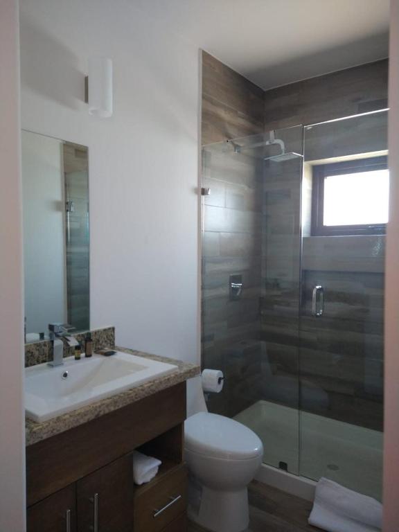 Suite Loft Amplio Nuevo Salida a CDMX 204A photo 3