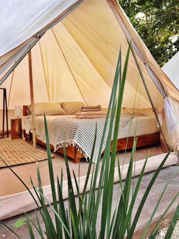 Shamalay - Nomad Experience photo 2