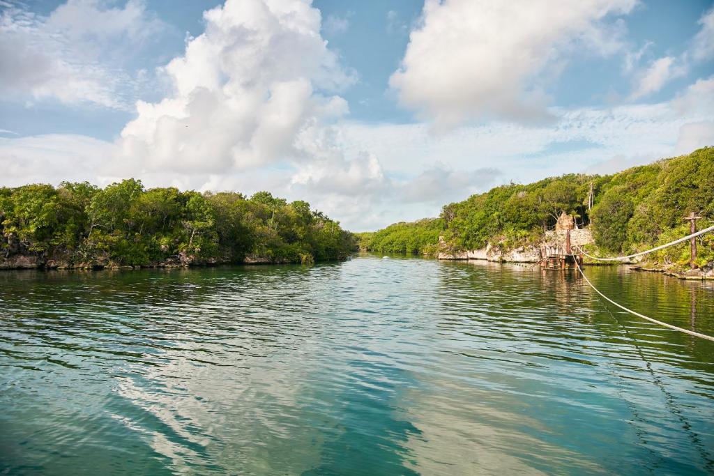 Hotel Xcaret Arte - All Parks All Fun Inclusive - Adults Only photo 3