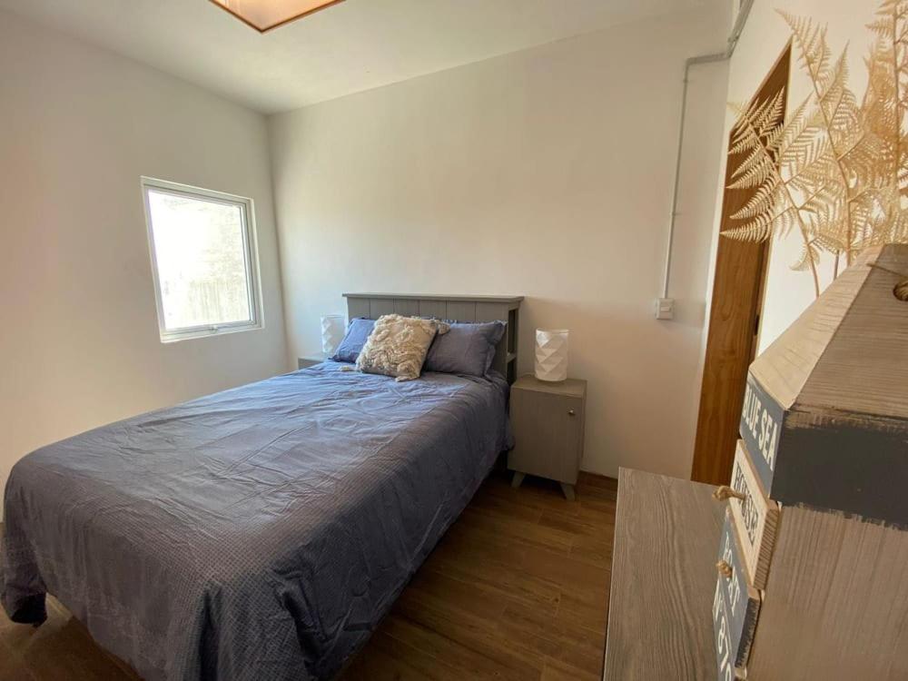 TORRE MAR Frente al Malecón photo 2