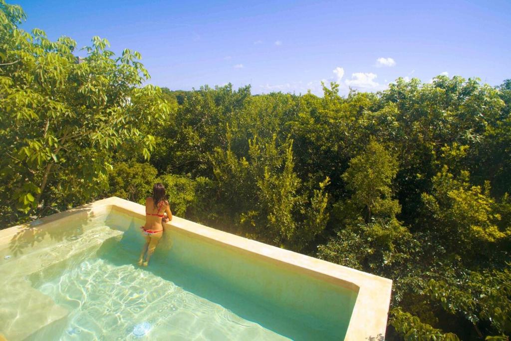 Casa Hibiscus Sky-high pool with birds above the jungle — photo 1