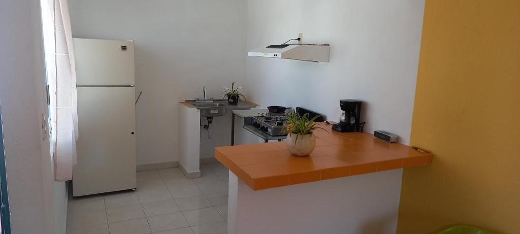 Terraza Amecameca photo 2