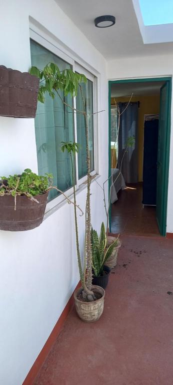 Terraza Amecameca photo 3