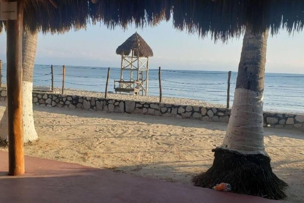 Tranquilidad cerca de la playa — photo 1