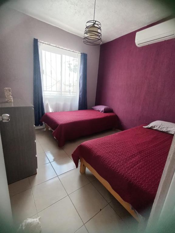 Manga Rosa Cancún photo 2