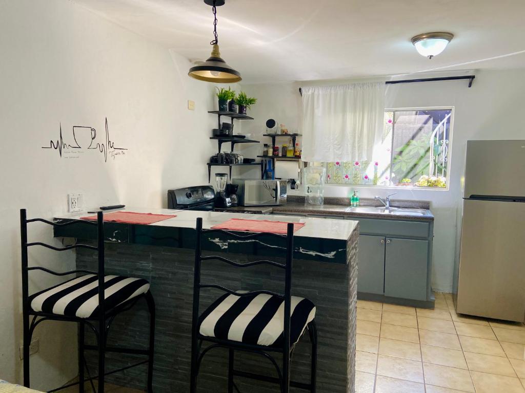 Zebra Studio — photo 1