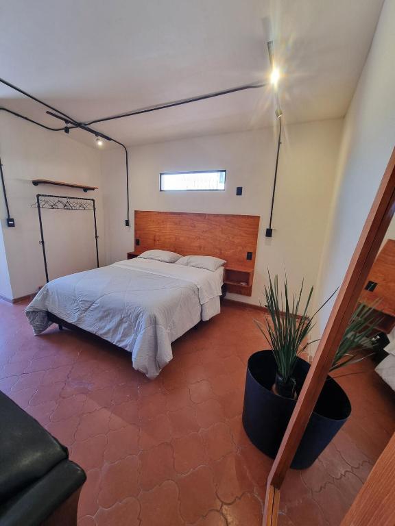 Estudio Josefa 1750 photo 2