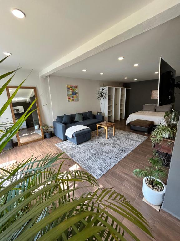 Condesa Metepec loft y jardín photo 2