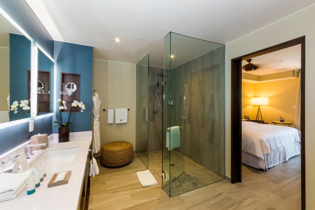 The Westin Los Cabos Resort Villas photo 3