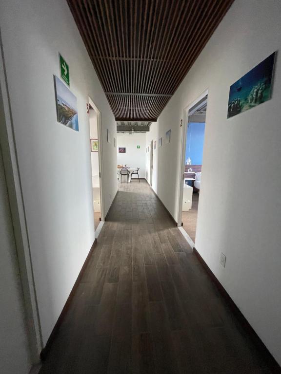 TORRE YAX-CHE URBAN CENTER — photo 1