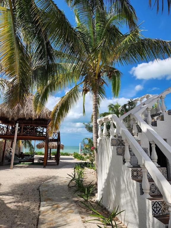 SandyToes La Casita del Mexicano — photo 1