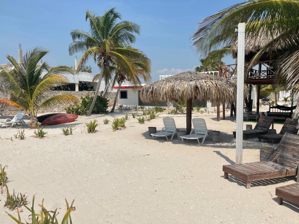 SandyToes La Casita del Mexicano photo 2