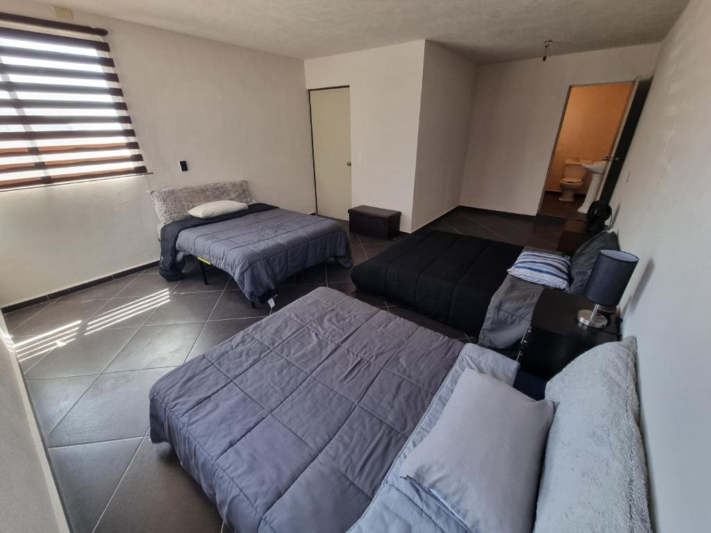 Booking.com: Hotels in Querétaro. Book your hotel now! photo 3