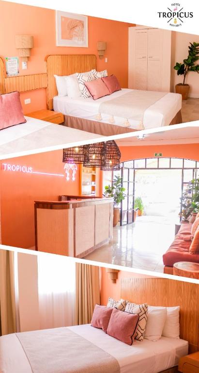 Hotel Tropicus Boutique — photo 1