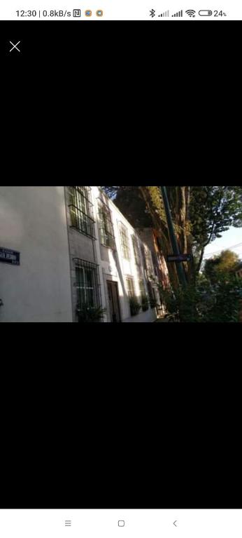 Flamingo 38 en SúperAnfitrión Coyoacán — photo 1