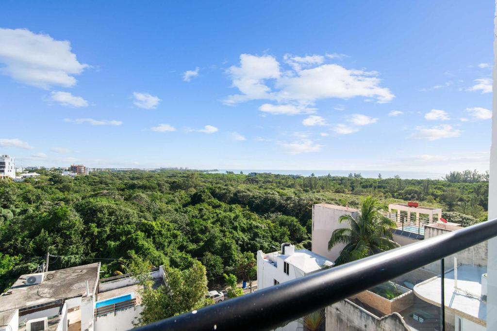 Suite Jungle Studio with Views Walk Everywhere photo 3