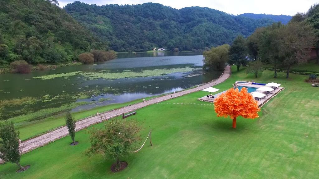 Sierra Lago Resort & Spa Hotel photo 3