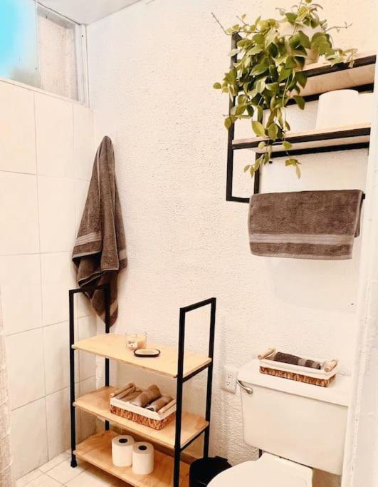 Booking.com: Hotels in Mexico City. Book your hotel now! photo 3