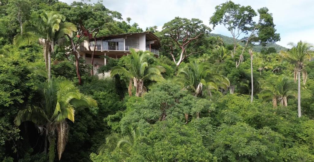 Sky Temple Yelapa photo 3