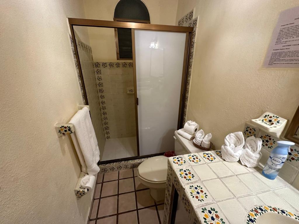 Vallarta Sun Suites photo 3