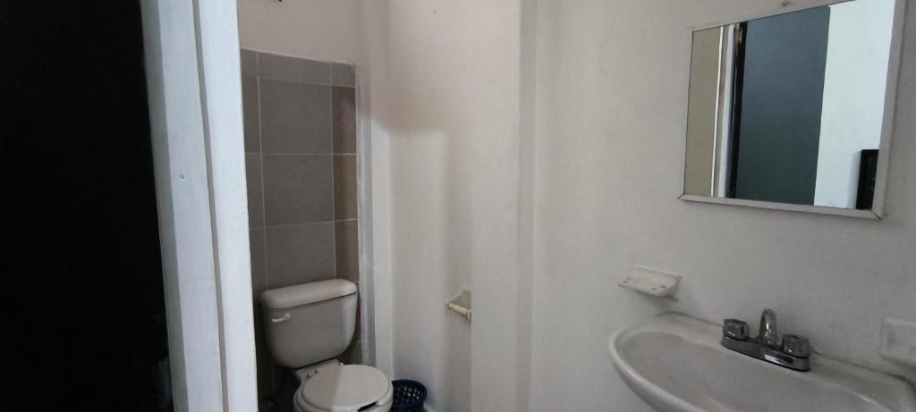 Hotel Casa Luna photo 3