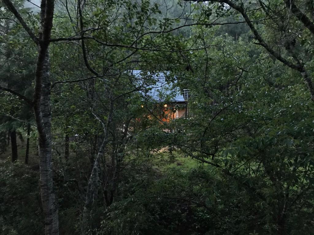 Tiny House photo 2
