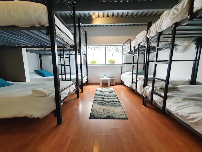 Spacious and cozy house in Polanco for 26 guests photo 2