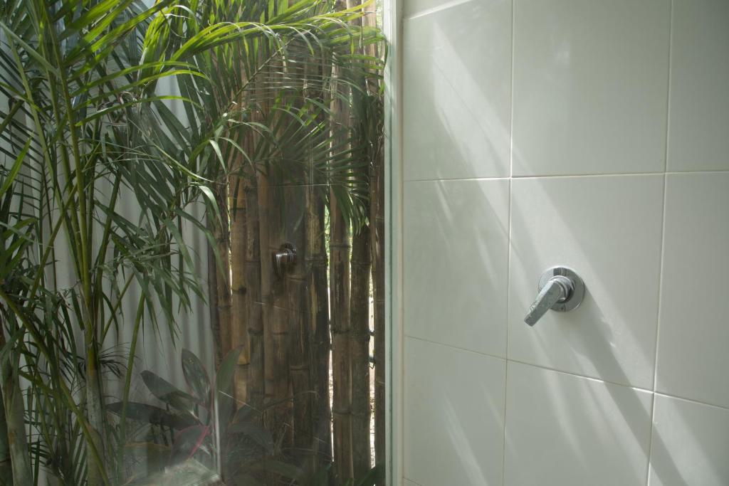 Zensus Eco Boutique Hotel photo 3