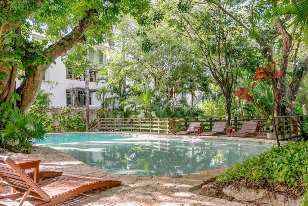 Tropical Oasis with Cenote & Pool Walk to Beach photo 3