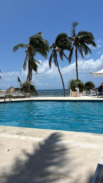 Spacious and comfortable apartment w pool and golf photo 3