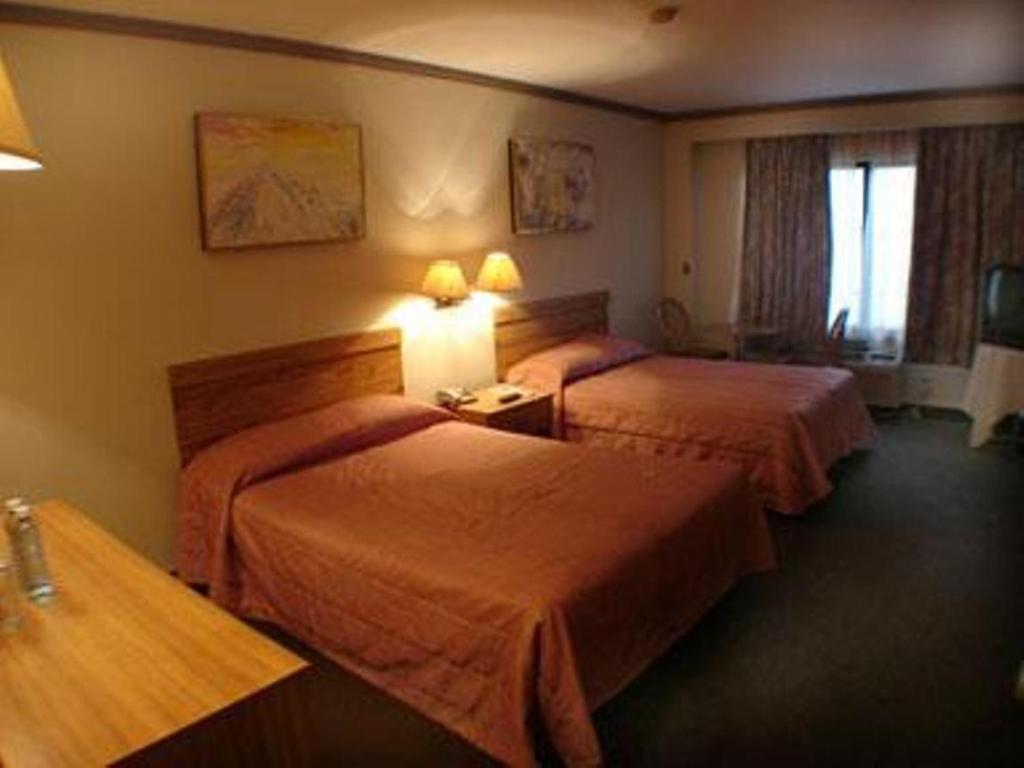 Hotel Royalty photo 3