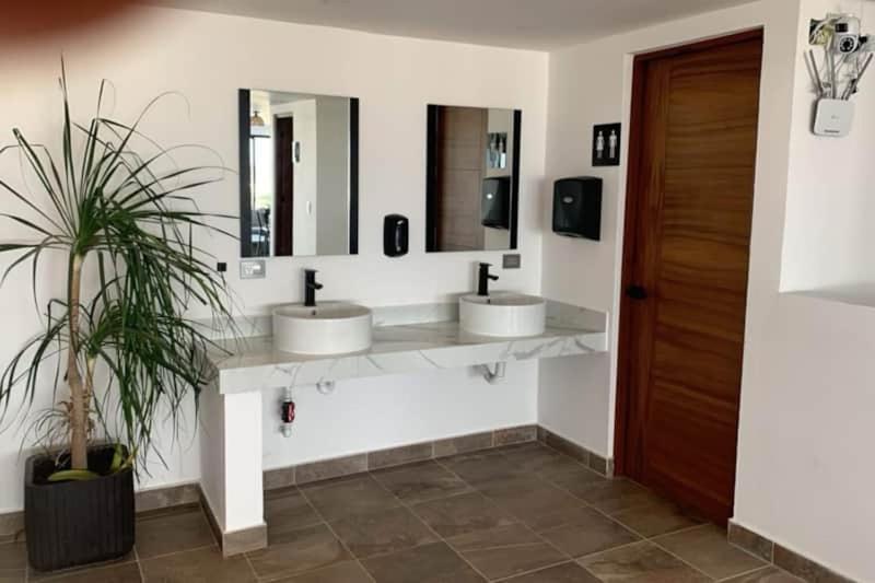 Stylish Studio in the Heart of Playa photo 3