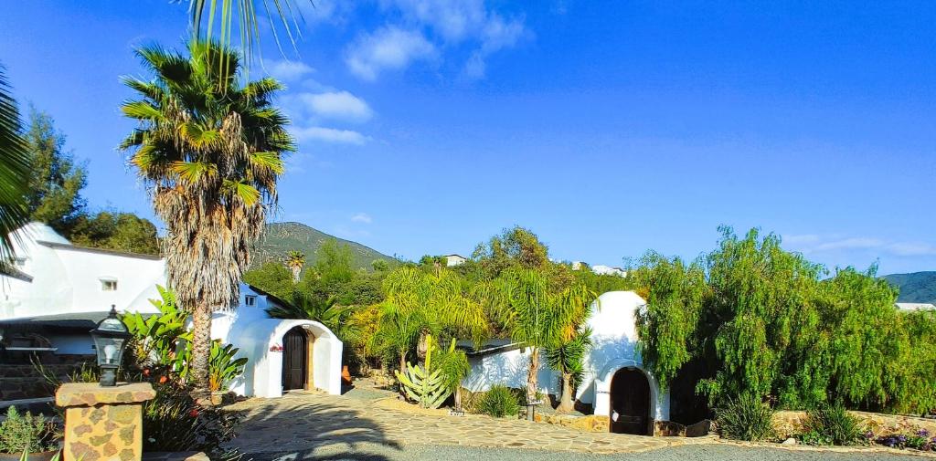 Hacienda Eco-Domes — photo 1