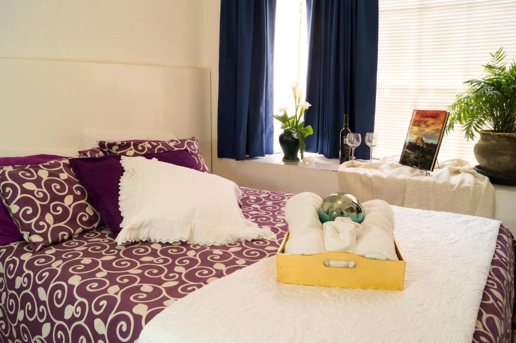 Suite 3B La Paz — photo 1