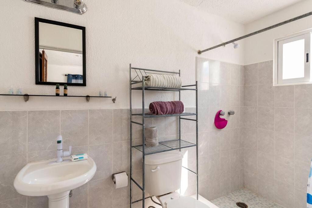 Micro Studio perfect for backpackers photo 3